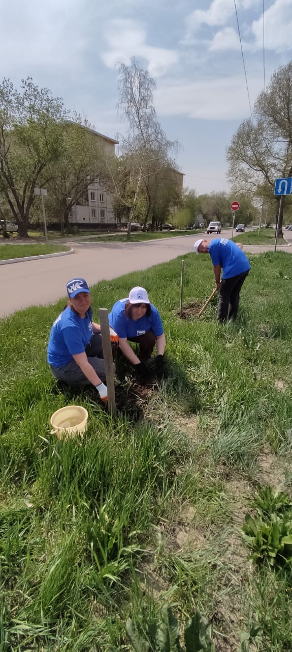 Посадка сирени (1)