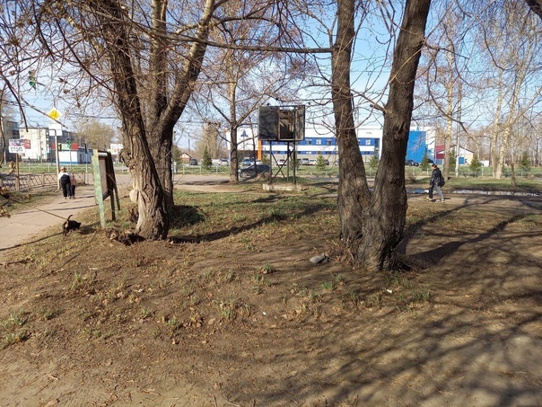 Чистый город  (3)
