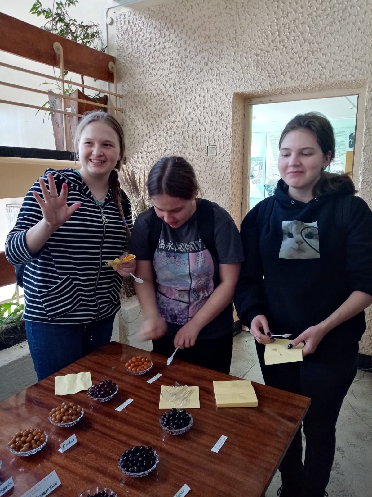 ФАНЦА 3