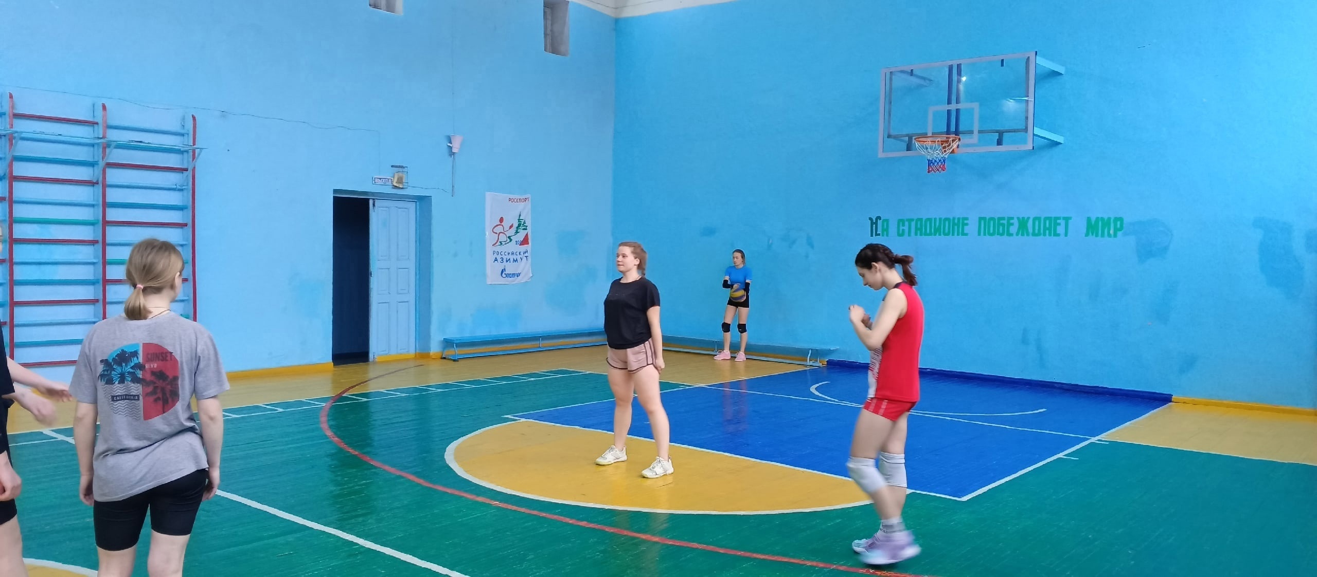 жвол (3)